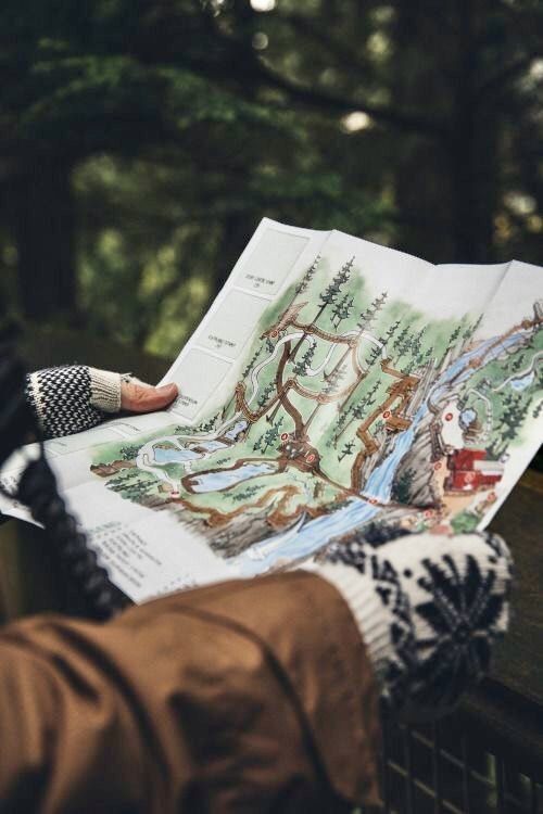 Orientacion en el bosque